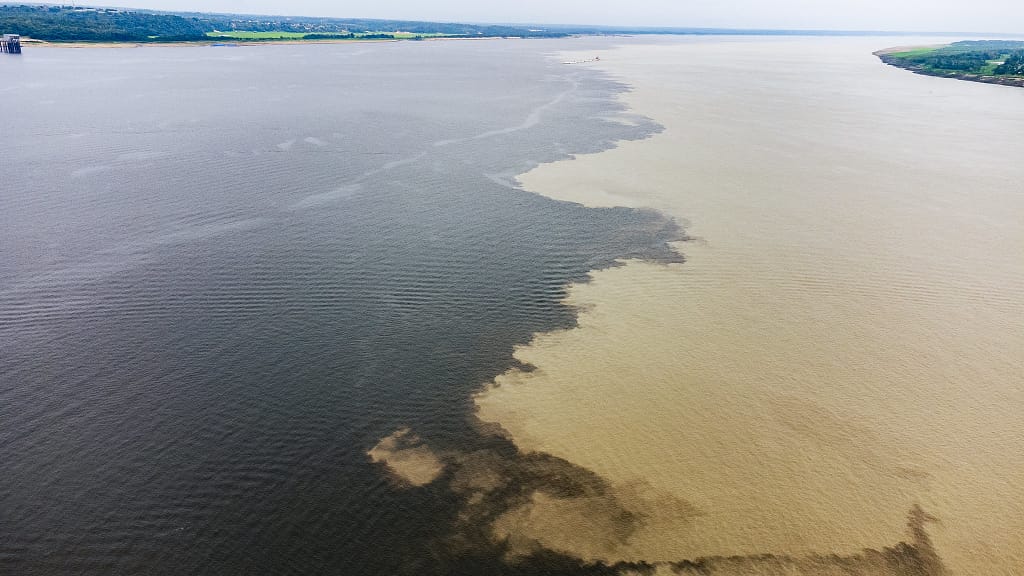 Arte e Cultura – Manaus: Brasilidades – Descubra o Brasil de Leste a Oeste | Foto: Embratur Sebrae