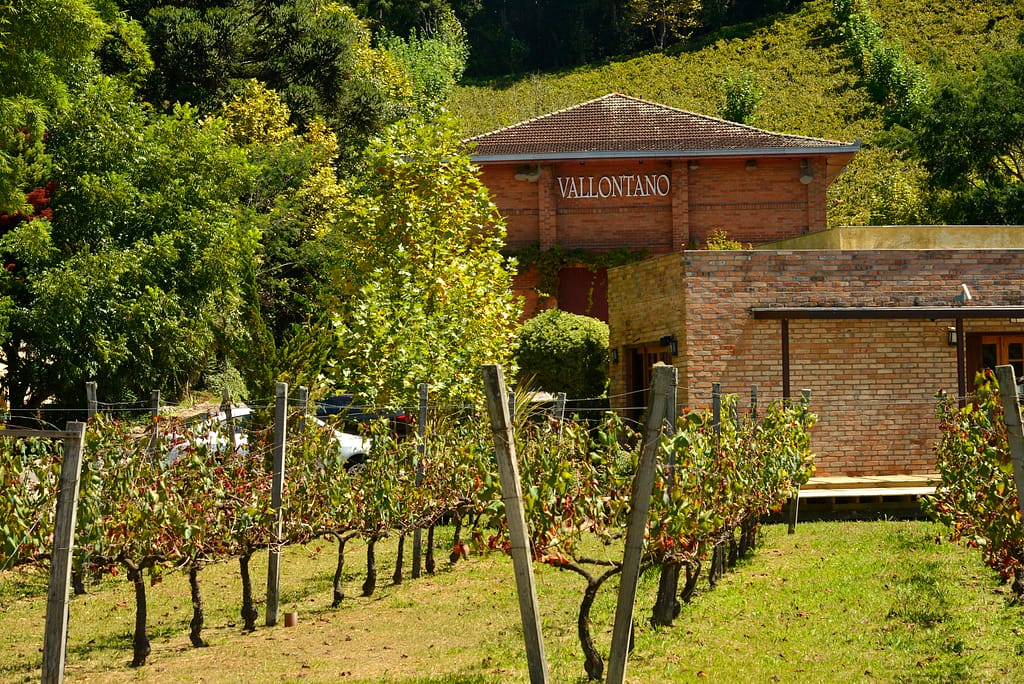 Prazeres da Mesa – Vinhos: Brasilidades – Descubra o Brasil de Leste a Oeste | Foto: Renato Soares - MTUR